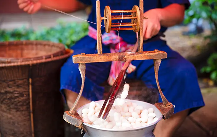 Silk Production